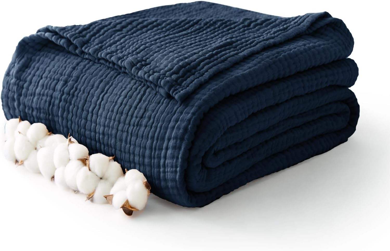 d1cfa7ee-d765-4e60-9062-431ef966501b